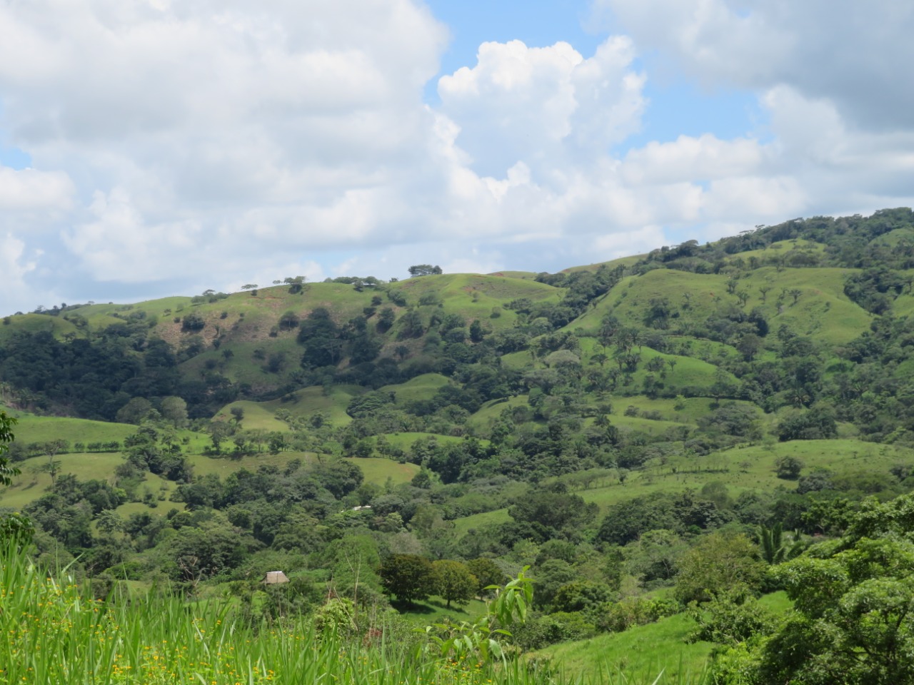 fundacion-panama-reportaje-especial