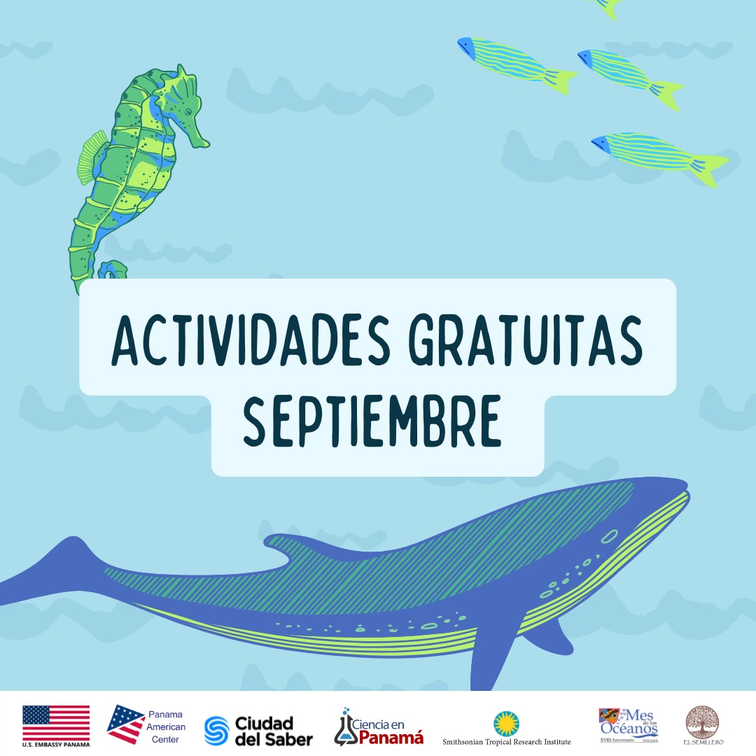 mes-de-los-oceanos-junto-al-panama-american-center-