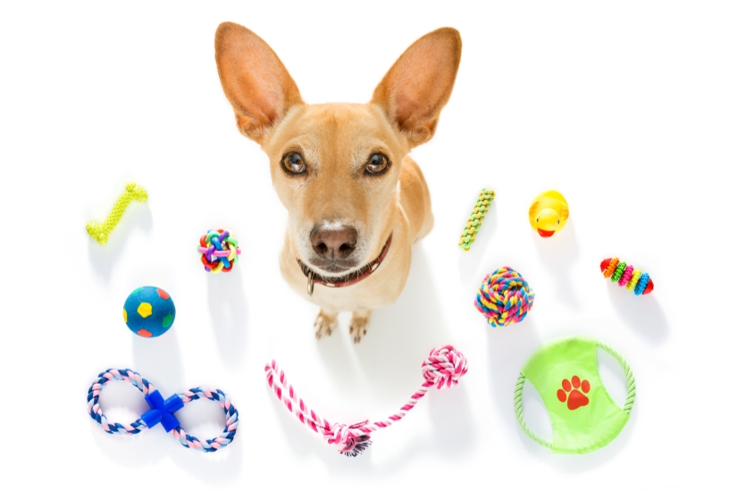 los-mejores-juguetes-para-mantener-a-tu-mascota-entretenida